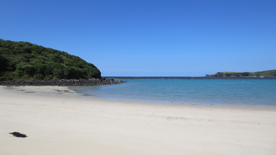 Kerikeri beach art residency